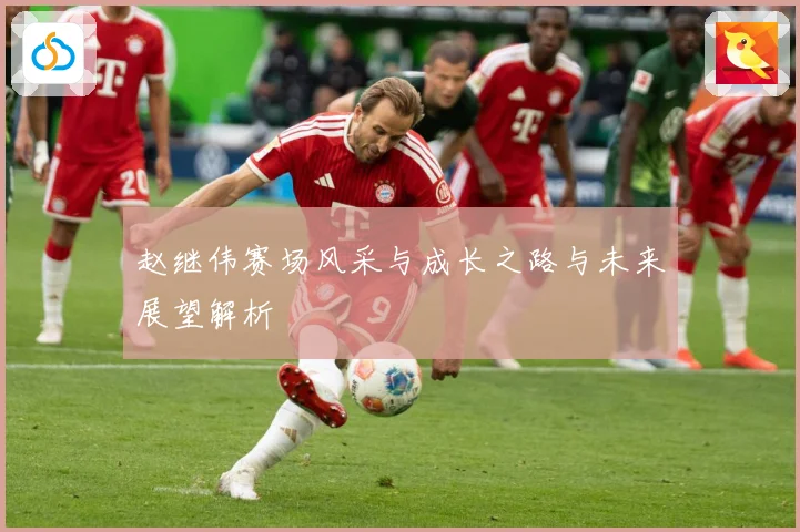 赵继伟赛场风采与成长之路与未来展望解析