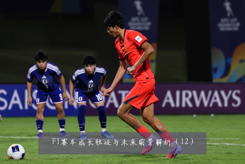 F1赛车成长轨迹与未来前景解析（12）