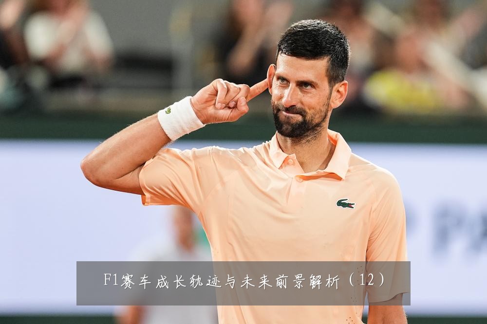 F1赛车成长轨迹与未来前景解析（12）